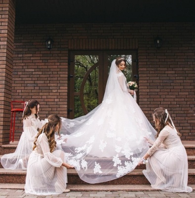 Elegant Lace V-Neck Appliques Sleeveless UK Wedding Dress_2
